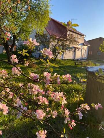 Фото номера Апартаменты с 1 спальней Апартаменты Skrunda Apartments Rustic г. Скрунда 51